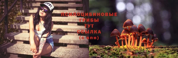 молекула духа Баксан