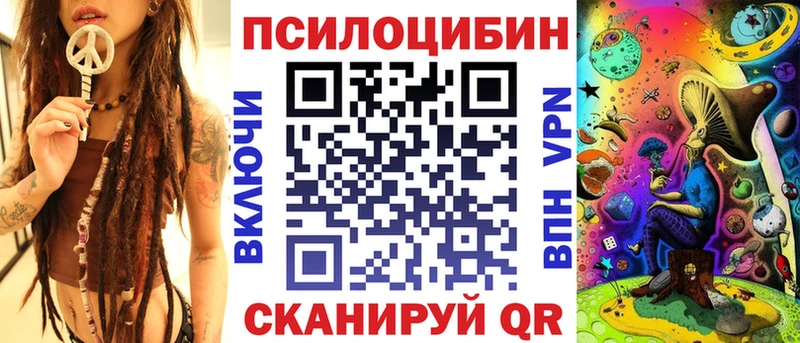 Псилоцибиновые грибы Psilocybine cubensis  Ессентуки 