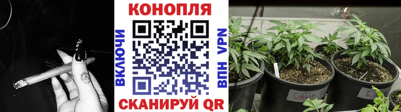 дарнет шоп  Ессентуки  Каннабис тримм 